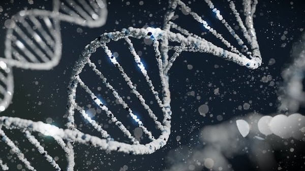 Quels sont les défis éthiques posés par l'édition génétique CRISPR ?